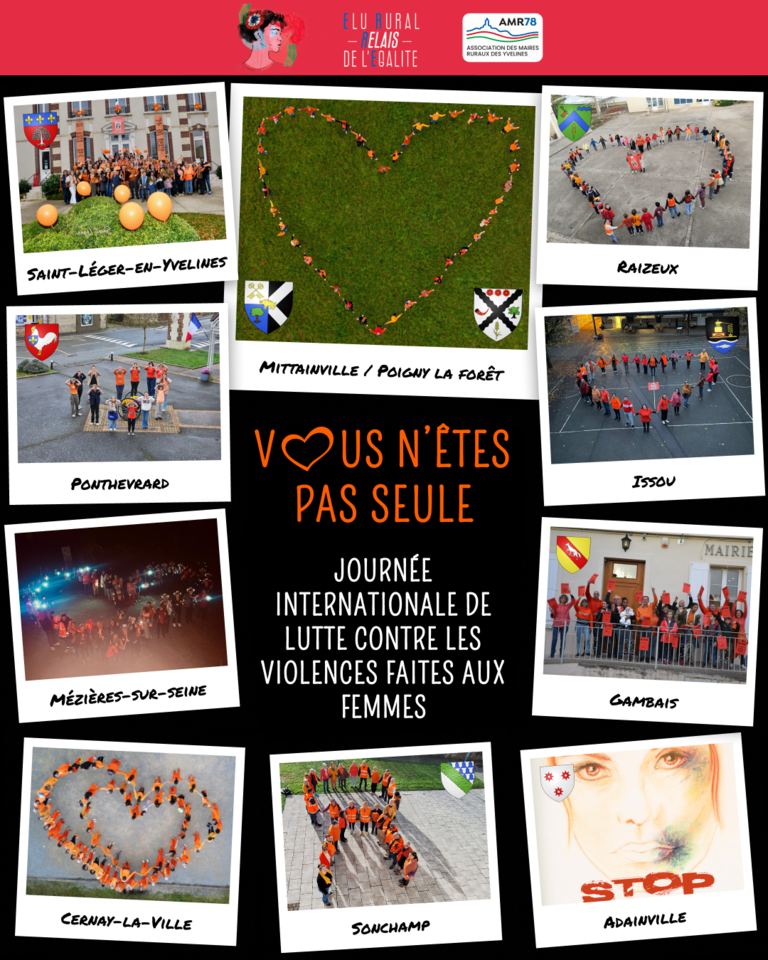 Journée de lutte conte les violences faites aux femmes Image 1